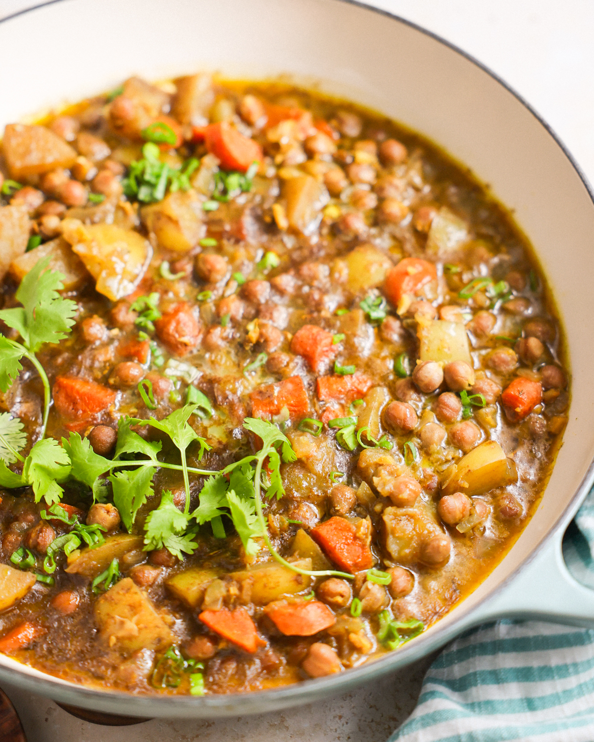 Vegetable Curry (V)